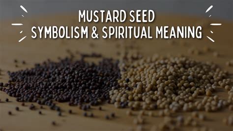 Mustard Seed Spiritual Symbolism (Top 11 Meanings) - Give Me History