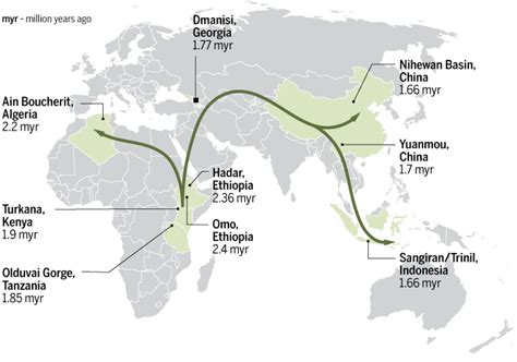 Meet the frail, small-brained people who first trekked out of Africa | Science | AAAS