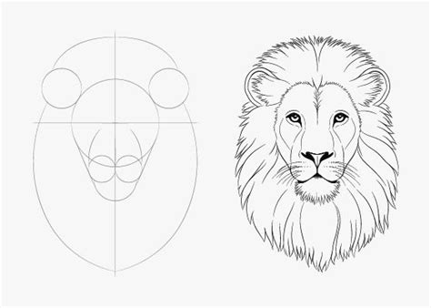 Easy Drawing Tutorials for Beginner | Drawing tutorial easy, Lion ...