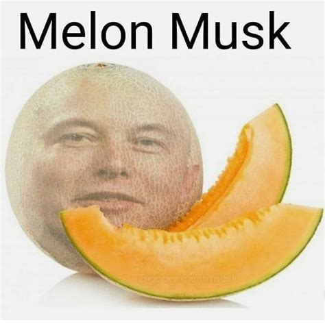 Melon Musk 🍈 _ _ #elonmusk #tesla #… | Fotos para reírse, Humor ...