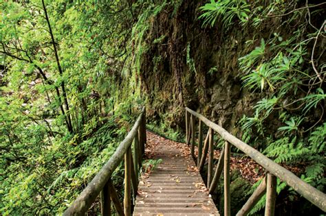 As 10 melhores levadas e veredas da Madeira | BestGuide Portugal