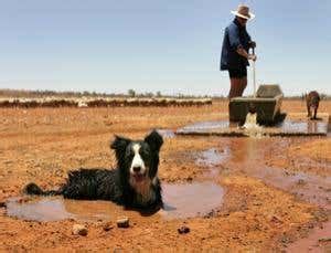 Australia's decade-long drought ends | New Scientist