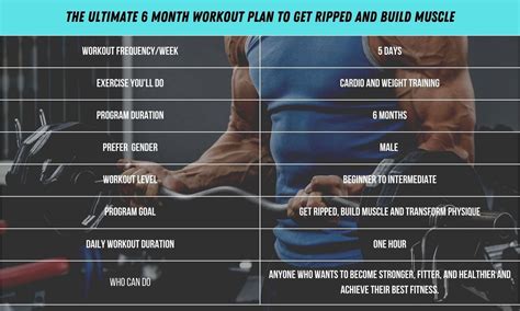 I’ve shared a 6 month workout plan to get ripped and build lean mass in ...