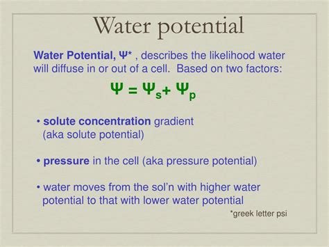 PPT - Water potential PowerPoint Presentation, free download - ID:2798211