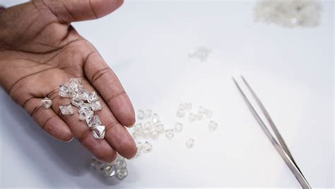 Botswana's Okavango Diamond Company H1 Sales Up 23% | The Diamond Loupe