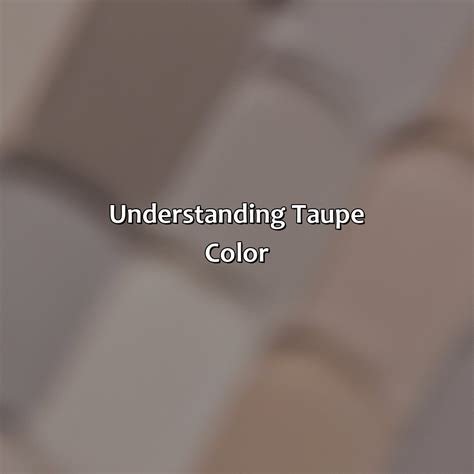 What Color Is Taupe Considered - colorscombo.com