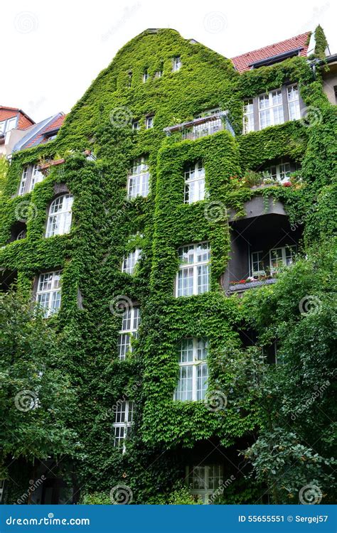 House with Green Walls stock image. Image of texture - 55655551