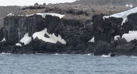 Antarctica field log: Penguin Island? Surely you mean Volcano Island ...