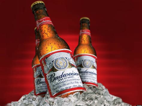 Budweiser Beer reviews in Beer & Cider - ChickAdvisor