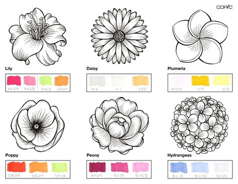 Nature, Coloring Flowers pt. 2