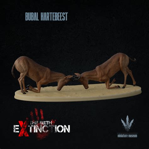 3D Printable Bubal hartebeest : Fighting by Miniature Museum