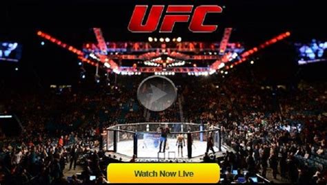 How and Where to See UFC Live Stream for Free Legally and Safely