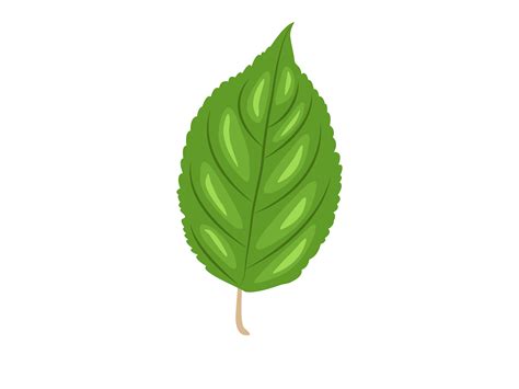 Apple Leaf By Red Sugar Design | TheHungryJPEG