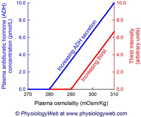 Physiology Graph: Increases in plasma osmolality increase antidiuretic hormone (ADH) secretion ...