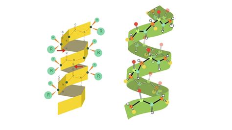 Estructura De Proteinas