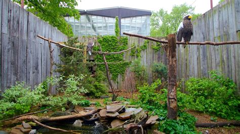 Visita National Aviary en Pittsburgh | Expedia.mx