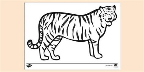 FREE! - Tiger Template for Colouring (teacher made) - Twinkl