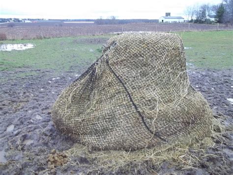 The Baxter Blab: Slow Feed Hay Net