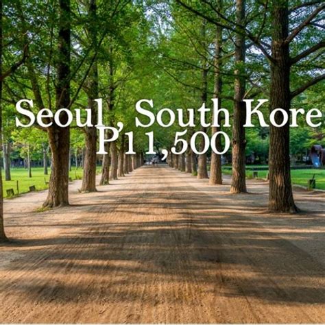 SEOUL SOUTH KOREA TOUR PACKAGE - The Travel Bug Tours