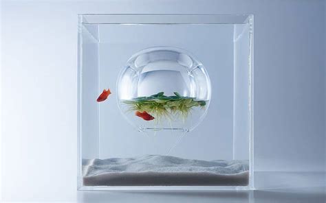 20 Most Unusual Fish Tank Designs for Office and Home