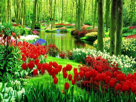 Flowers In Park Wallpapers - Wallpaper Cave