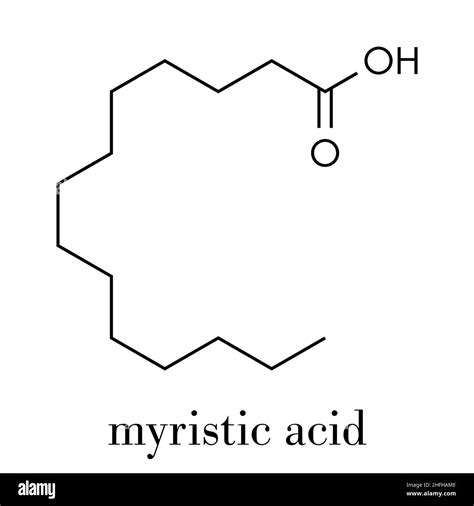 Myristic acid Black and White Stock Photos & Images - Alamy