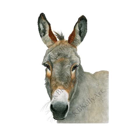 Donkey Watercolor Art Print Donkey Wall Art Farm Animal Donkey Painting ...