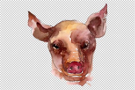 Farm animals: pig head Watercolor png – WatercolorPNG