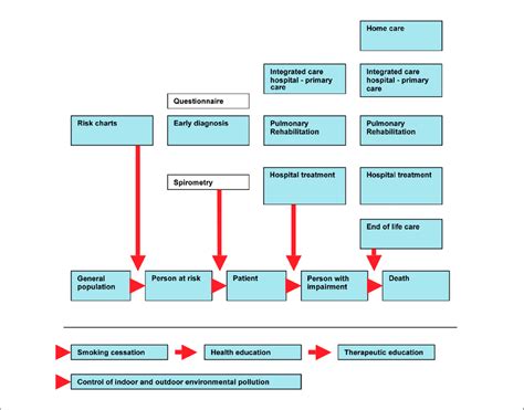 general guidelines for prevention and care of chronic respiratory diseases | Download Scientific ...