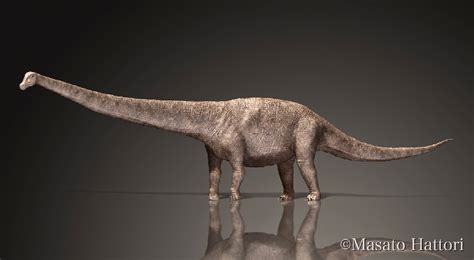 Dreadnoughtus Pictures & Facts - The Dinosaur Database