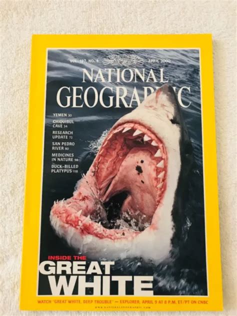 NATIONAL GEOGRAPHIC APRIL 2000 Yemen San Pedro River Great White Shark $26.50 - PicClick