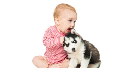 Why Do We Use the Same Voice to Talk to Babies and Dogs? | Mental Floss