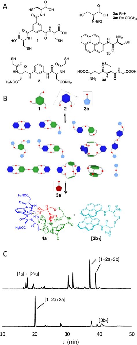 Figure 1 from A Dynamic Chemical Network for Cystinuria Diagnosis. | Semantic Scholar