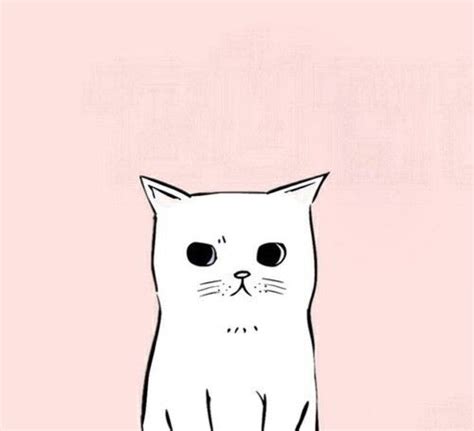 Angry Cat | Cat art, Drawings, Art