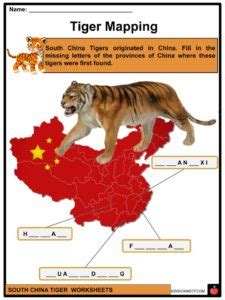 South China Tiger Facts, Worksheets & Taxonomy For Kids