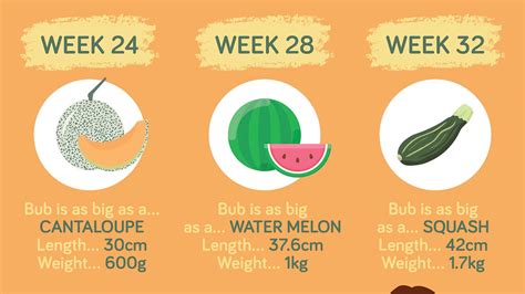 Baby growth chart: How big is your baby this week? [Infographic]