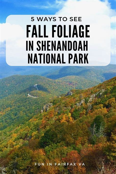 5 Ways to Enjoy Fall Foliage in Shenandoah National Park