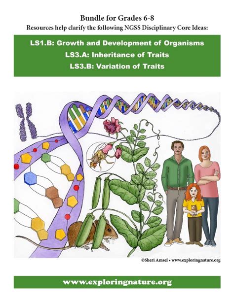 Grade 6-8 - Inheritance and Variation of Traits (Heredity) - Downloadable Only