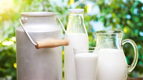 Unprocessed Cow’s Milk Found to Prevent Asthma and Allergies in Children - Lung Disease News