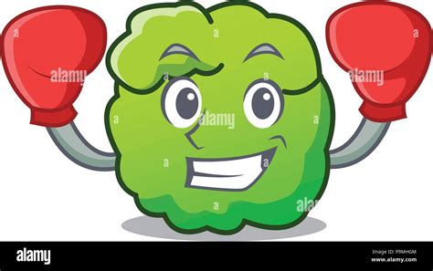 Boxing shrub character cartoon style Stock Vector Image & Art - Alamy