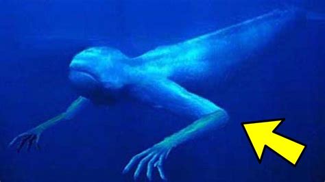 3 Creepy Deep Sea Creatures | Real sea monsters, Weird creatures, Deep ...