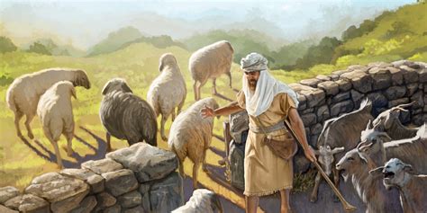 Fc - The Sheep and the Goats Matthew 25:31-46 and Joel 3:1-3 · The ...