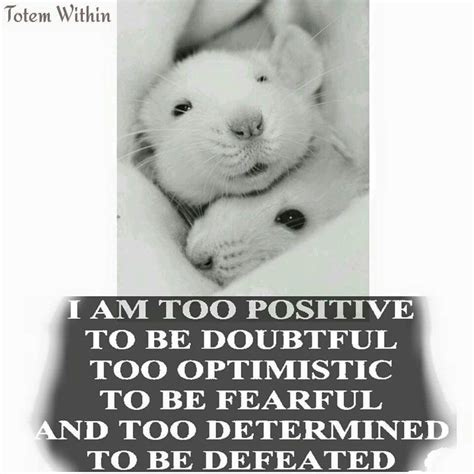 Quote totem rat positive | Positivity, Wise words, Inspirational quotes