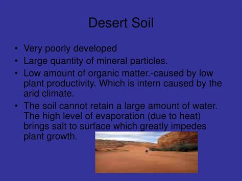 PPT - BIOME PROJECT THE DESERT PowerPoint Presentation, free download ...