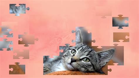 Jigsaw Puzzle Cats - The Puzzle Cat Game on Steam