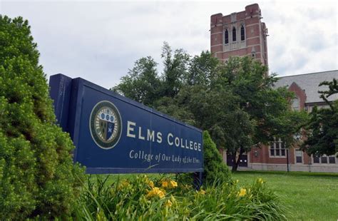 Elms College to launch doctoral program in nursing - masslive.com