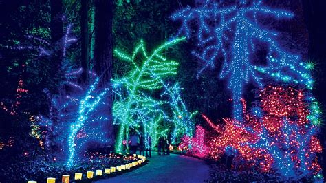 Drive Through Christmas Light Shows Near Me - Christmas Trends 2021