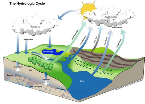 Hydrologic-Cycle | FWEE