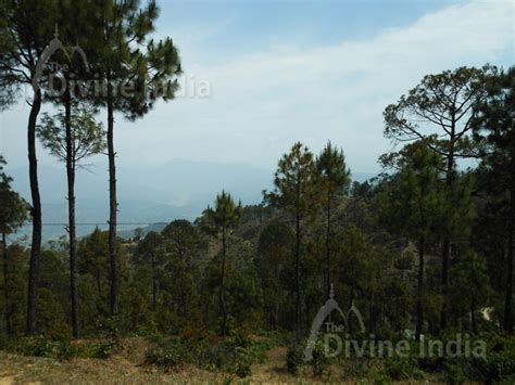 Ranikhet Hill Station : Ranikhet Hill Station - The Divine India