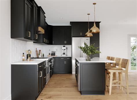 True Black Shaker Kitchen Cabinets